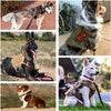 Tactical Dog Harness & Leash Set for All Breeds – Maximum Control & Comfort