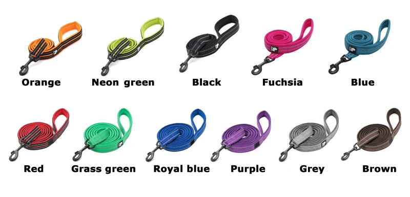 Truelove Soft Mesh Nylon Dog Leash – Double Thickness, Reflective, & Safe for Walking and Running