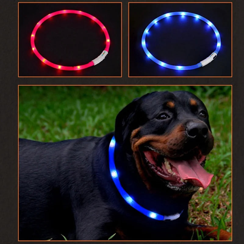 LED Glowing Dog Collar - USB Rechargeable Night Safety Flashing Collar for Pets