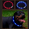 LED Glowing Dog Collar - USB Rechargeable Night Safety Flashing Collar for Pets