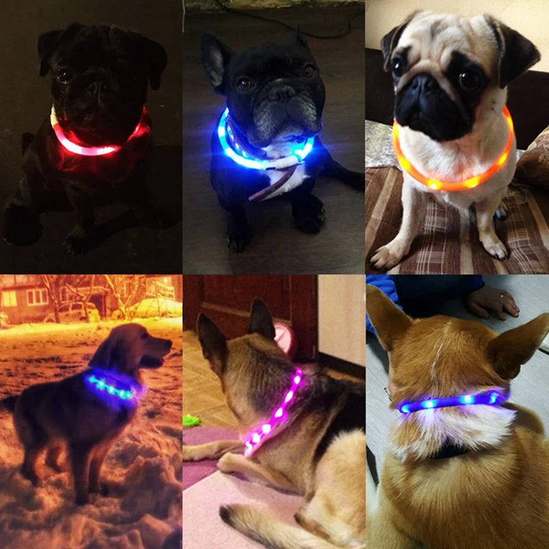 LED Glowing Dog Collar - USB Rechargeable Night Safety Flashing Collar for Pets