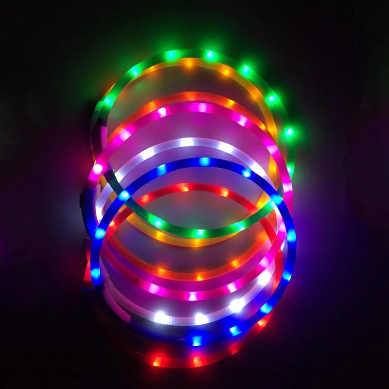 LED Glowing Dog Collar - USB Rechargeable Night Safety Flashing Collar for Pets