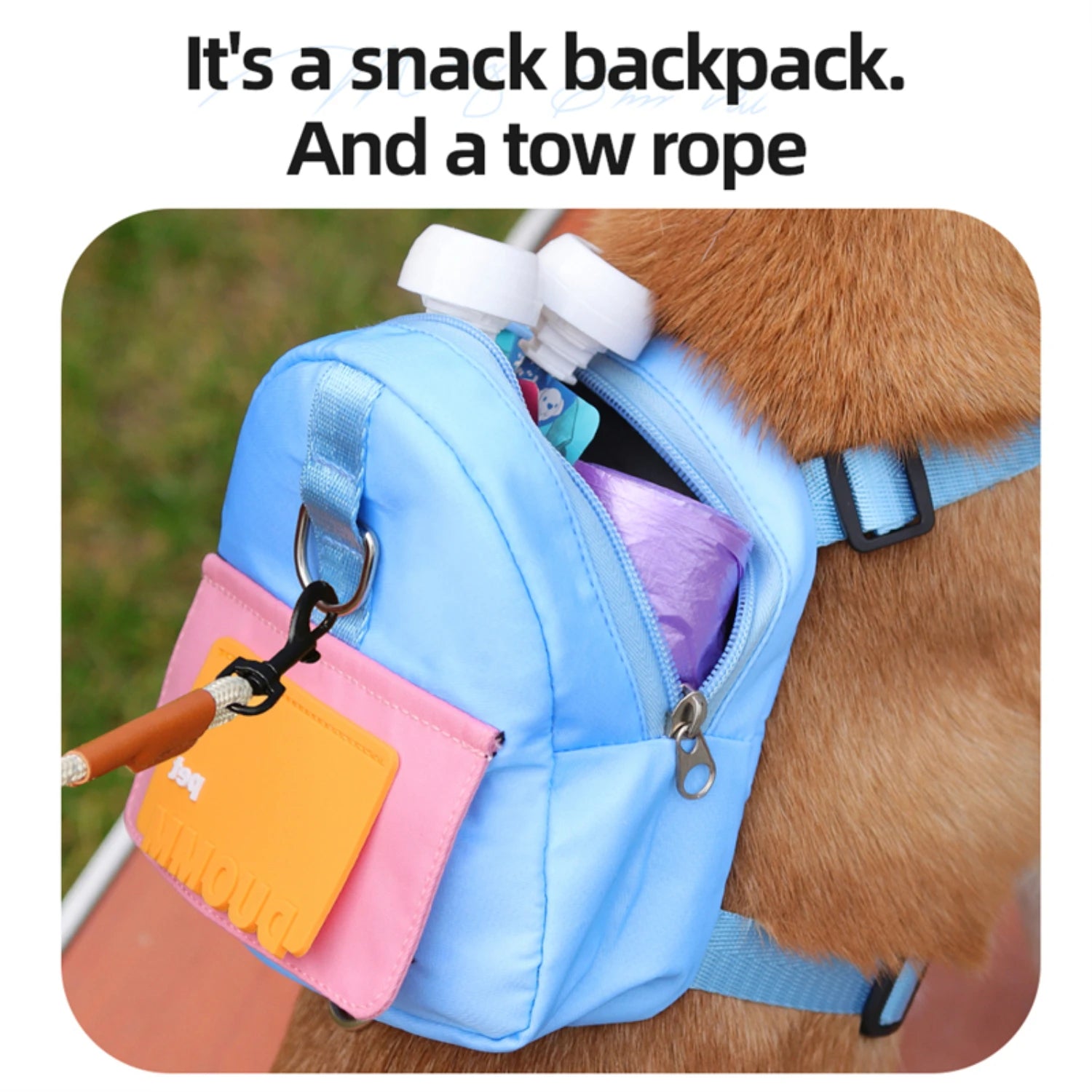 Portable all-inclusive pet backpack - ideal for outdoor adventures! Features adjustable harness collar.