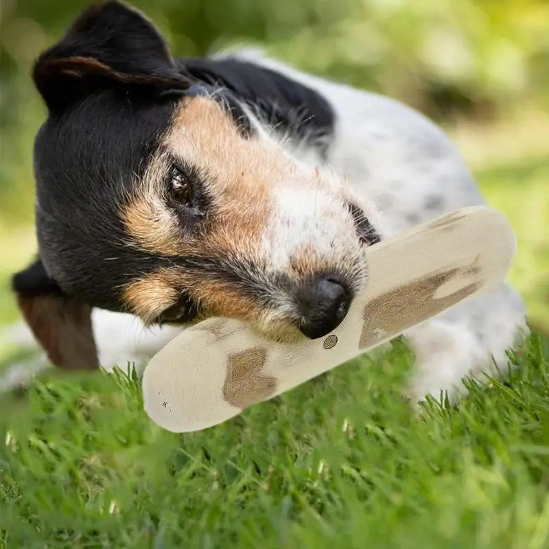 Wood Chew Toy for Aggressive Chewers – Ideal for Small & Medium Dogs