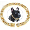 Dog Collar Sparkling Rhinestone Chain Collar for Small & Medium Dogs