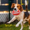 Squeaky Dog Ball – The Ultimate Fetch Toy for Puppies!