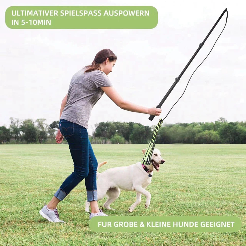 Extendable Flirt Pole Interactive Dog Toy – Fun & Exercise for Your Furry Friend!