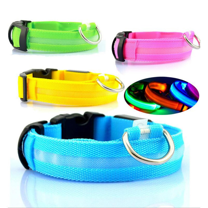 LED Glowing Dog Collar USB Rechargeable