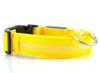Load image into Gallery viewer, LED Glowing Dog Collar USB Rechargeable